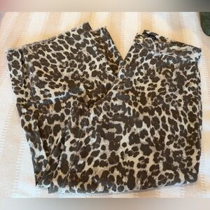 Leopard Print Shorts